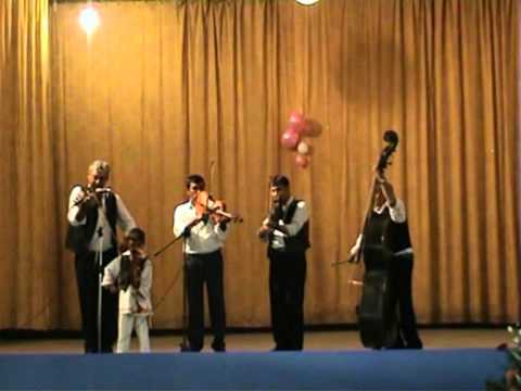 Taraf: Mociu, Transylvania, Romania - 2007