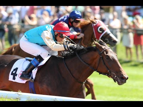 Düsseldorf: Preis der Fritz Henkel Stiftung (Listenrennen) Siegerin: Weltmacht