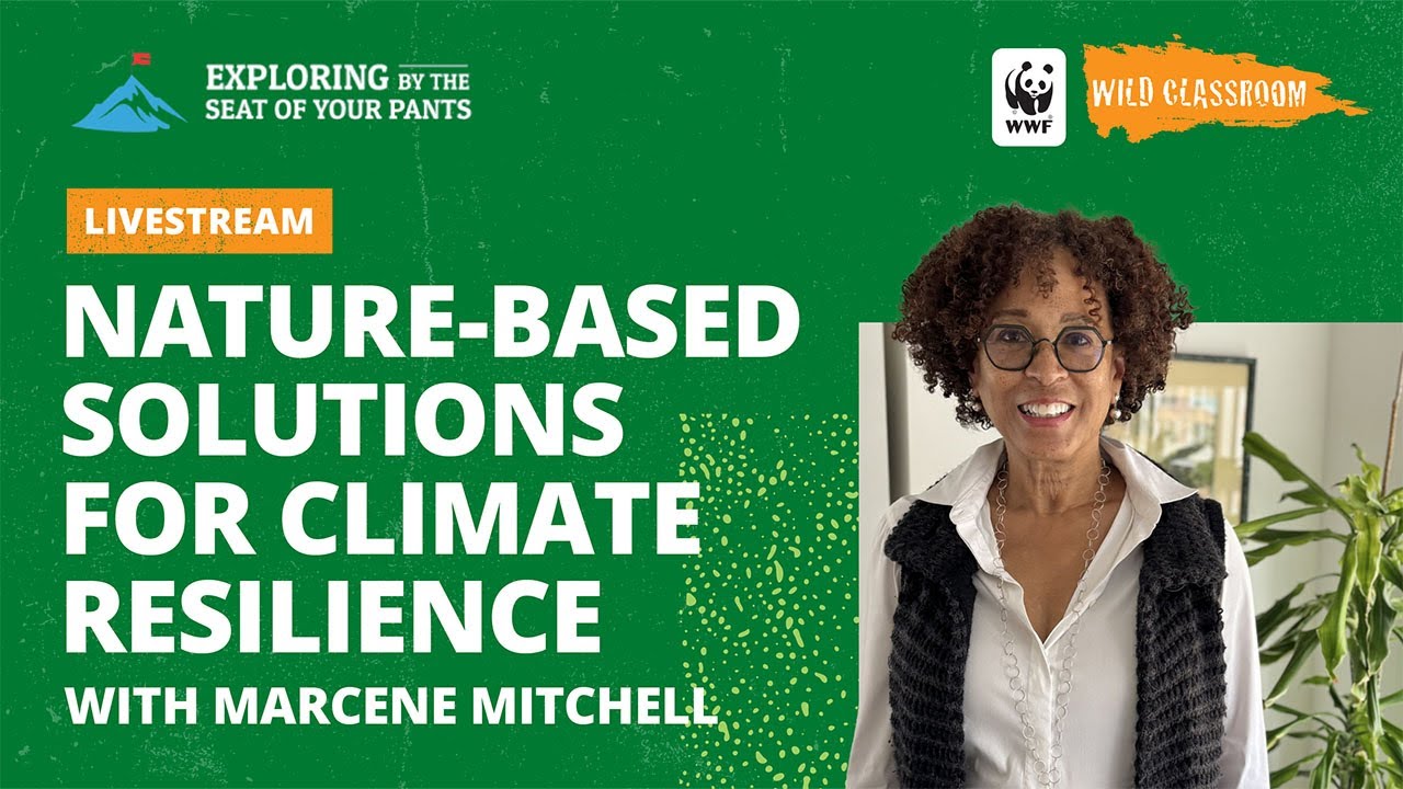 Nature-based Solutions for Climate Resilience