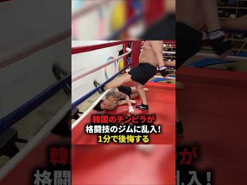 韓国のチンピラが格闘技のジムに乱入！1分で後悔する　#格闘技