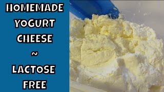 Homemade Yogurt Cheese ~ Lactose Free ~ SCD Legal