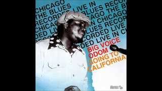 Andrew "Big Voice" Odom, Jimmy "Fast Fingers" Dawkins, Jimmy Johnson - Wonder Why