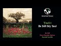 Dave Douglas Quintet | Be Still - "Be Still My Soul (feat. Aoife O'Donovan)"