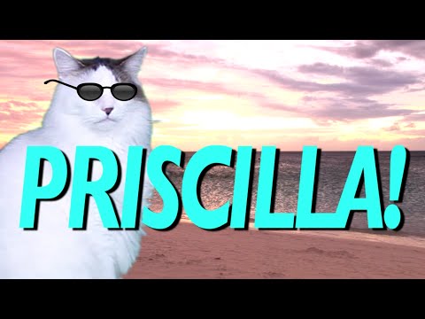 HAPPY BIRTHDAY PRISCILLA! - EPIC CAT Happy Birthday Song