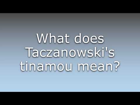 What does Taczanowski's tinamou mean?