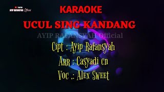 Download lagu Karaoke Ucul Sing Kandang - Alex Sweet | Tarling [ HIBURAN] mp3