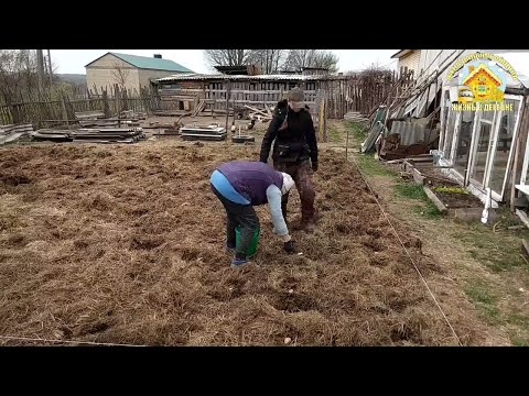 Посадили картошку. Работы в огороде продолжаются.