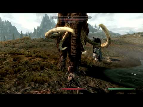Skyrim: Dragonbone armor w/ 85% armor cap (Master difficulty)