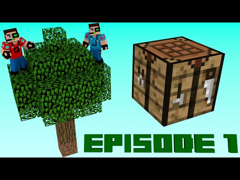 Sky Factory 2.4 - Episode 1 - The Basics!