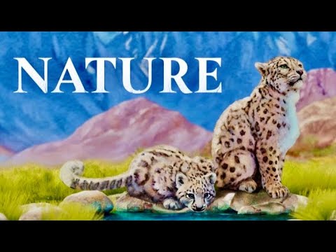 Nature Digital Board Game | iOS | Global Launch Gameplay - YouTube