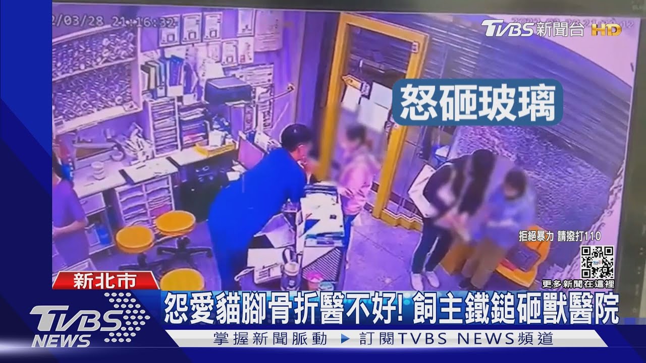 怨愛貓腳骨折醫不好！　飼主鐵鎚砸獸醫院