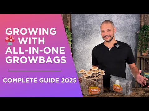 How to Grow Mushrooms at Home | All-in-One Grow Bags Tutorial (No Experience Needed)