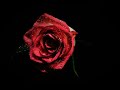 Mac Miller C͟i͟r͟c͟l͟e͟s Full Album