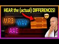 AM I CRAZY?!? MP3s Sound GREAT | MP3 vs WAV vs AAC