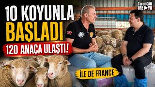 Koyunculuk Para Kazandırır mı? 10 Koyunla Başladı, 120 Anaça Ulaştı! |