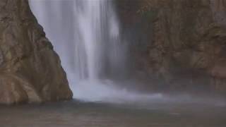 Karla Bonoff - All My Life - New World