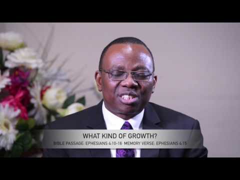 Open Heavens Reflections 28 June 2017 - What Kind of Growth?