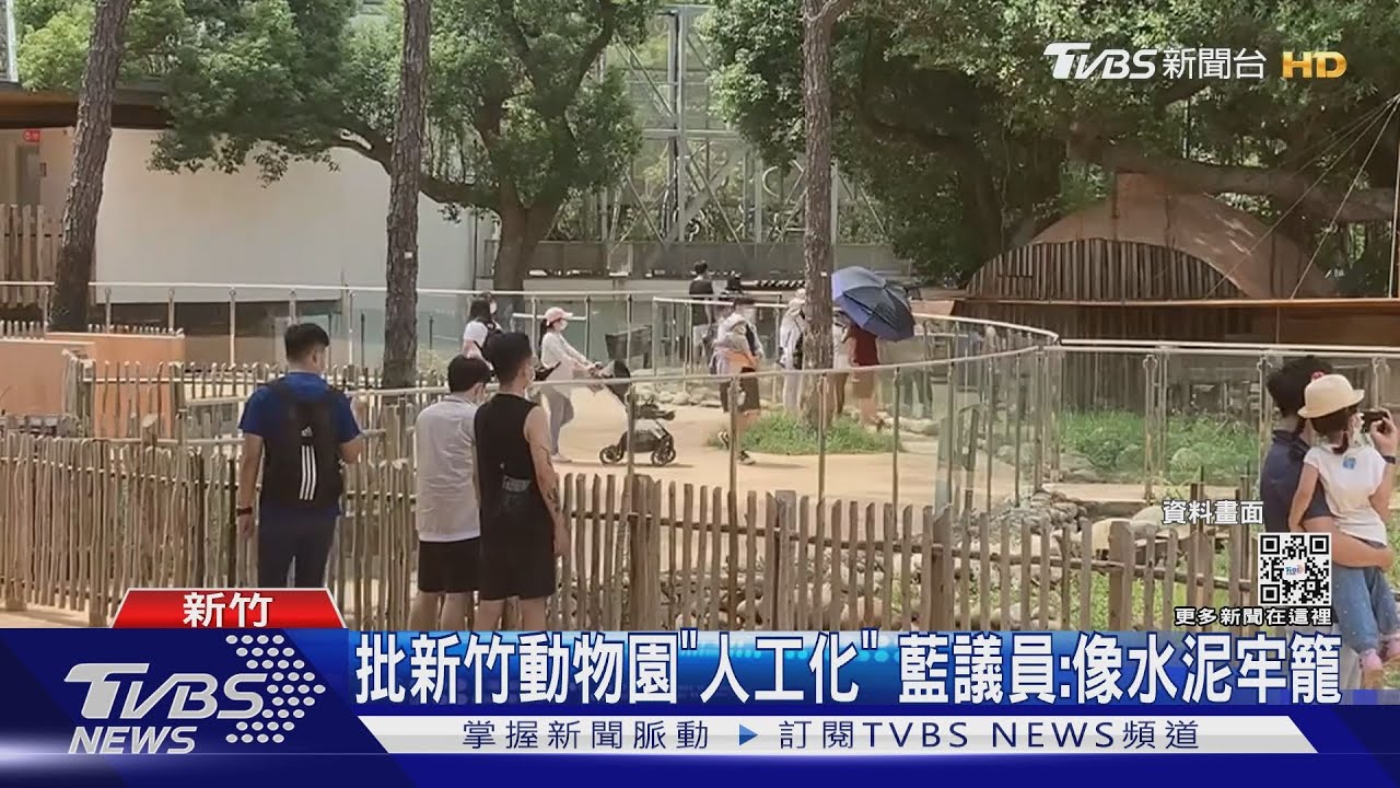 批新竹動物園「人工化」　藍議員：像水泥牢籠