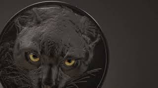 LOVCI V NOCI OCELOT coin Hunters by Night Ocelot – 2 oz stříbrná mince