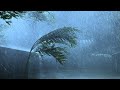Goodbye Stress To Sleep Soundly With Mighty Tropical Storm Heavy Rain Strong Wind Thunder Sounds