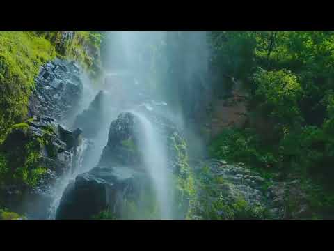 The Story of Deshan The $3.5 Million Dollar YouTuber