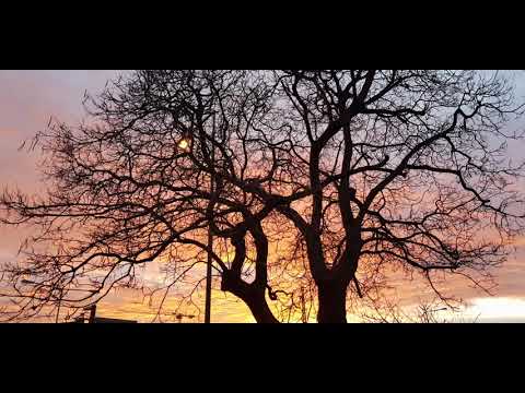 Harvey Quinn - Introversiert (Prod. by Beatowski)