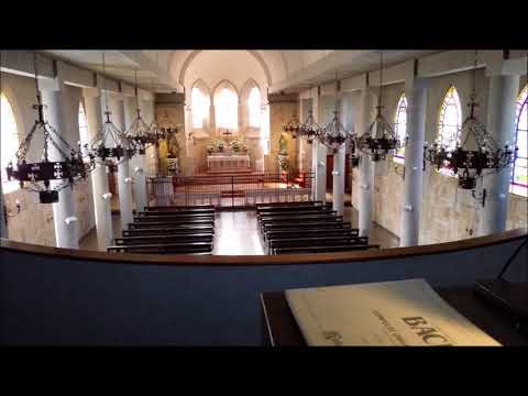 Missa Brevis: Kyrie (Byrd) & Gloria IX