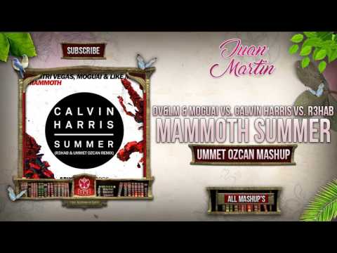 Summer Mammoth (Ummet Ozcan Mashup)