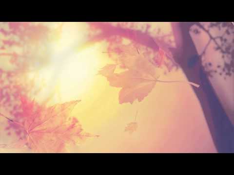 Emil Lassaria& F.Charm feat Diedra - 9 mm (Saxo)