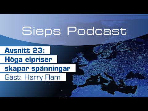 Höga elpriser skapar spänningar | Sieps Podcast 23