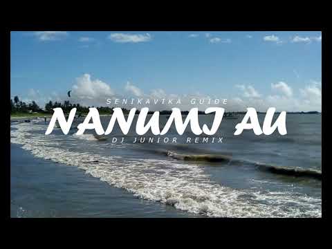 Nanumi Au - Senikavika Guide (Dj Junior Remix)