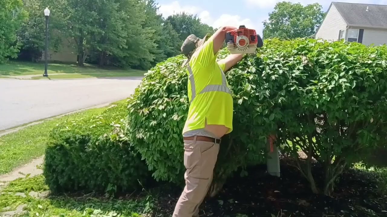 Let's trim some shrubs