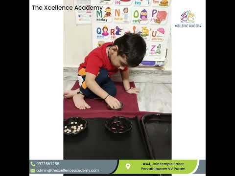 Exercise on Practical Life activity - Seed sorting, Darshit (Toddler)