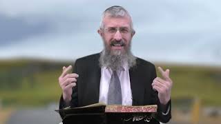 מסכת זבחים דף קג - 8 דקות של לומדות ועמקות בדרך הלימוד הישיבתית [Zevachim 103]