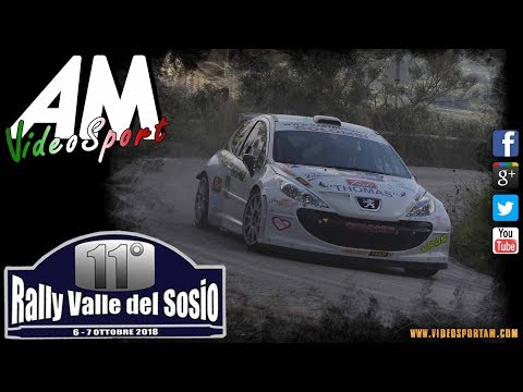 Bruccoleri   Rosato PSG 11° Rally Valle del Sosio HD
