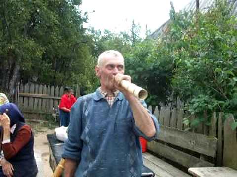 Apuseni 2008 Ghetar - Garda Seaca - Dobra Ionel