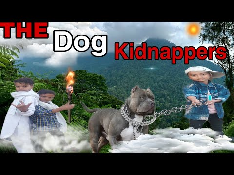 The Dog Kidnappers || kutichor || presents by Century Star Adventure.  || CSA ||.
