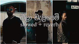 Download lagu Costa x Master D - බලා වැලපෙමි Bala Walapemi slowed   reverb version mp3 Download lagu Costa x Master D - බලා වැලපෙමි Bala Walapemi slowed   reverb version mp3