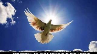 Dream - End Times? short but clear