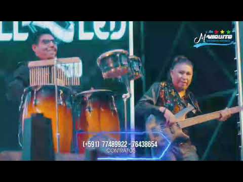 Delfines Del  Amor – Solo Queria Saber (Primicia | 2022)