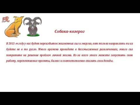 Гороскоп На 2024 Собака Козерог