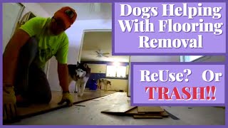 How to Remove Flooring for Reuse | Salvaging Laminate Flooring