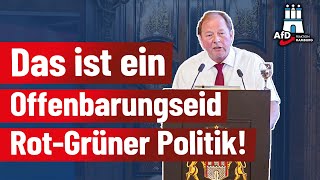 Das ist ein Offenbarungseid rot-grüner Politik! -Dirk Nockemann AfD