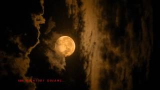 Klaus Schulze -  Night Of Dreams -  La Vie Electronique-