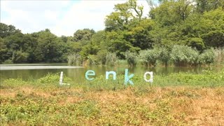 Lenka - Roll with the Punches (Video /w Lyrics &amp; 8D Audio) (Mar. Special)