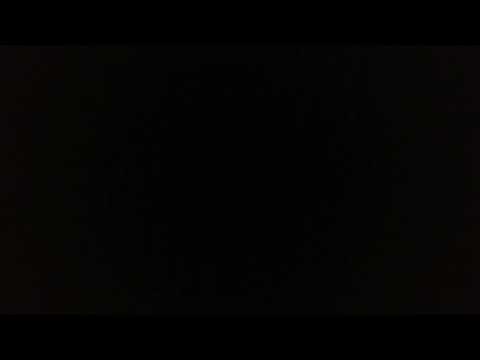 Lilly is my first mother (V) 26/03/22