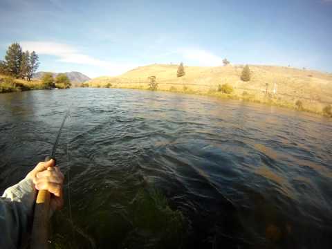 Steelhead fly fishing