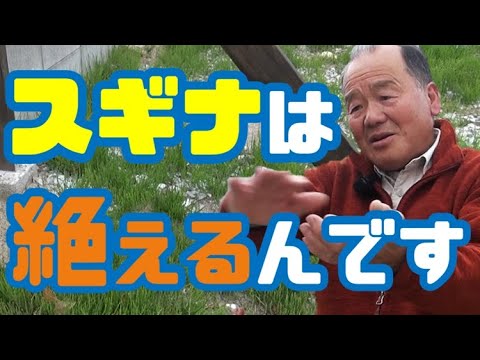 自然に土地をきれいにする方法は？雑草とイバラの駆除方法をご紹介します！  庭園