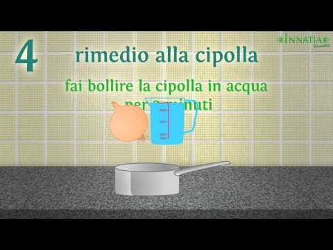 Articolazioni timbrato dopo la lotta Diarrea dolori articolari debolezza