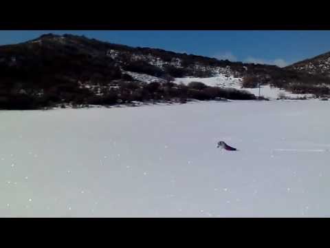 Mesha, the double rear leg amputee dog, goes cross country skiing